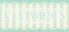 Flowers: Le Volume Sur Printemps Box Art