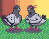 Pigeon Ascent Box Art
